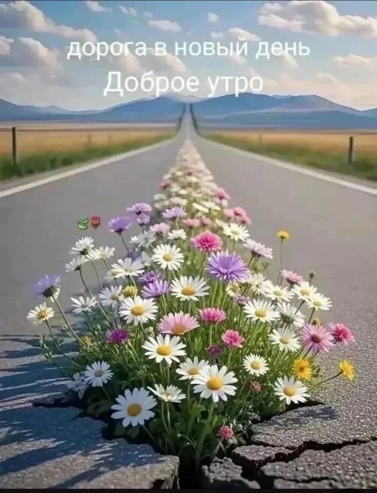 дорога в новый день Доброе утро