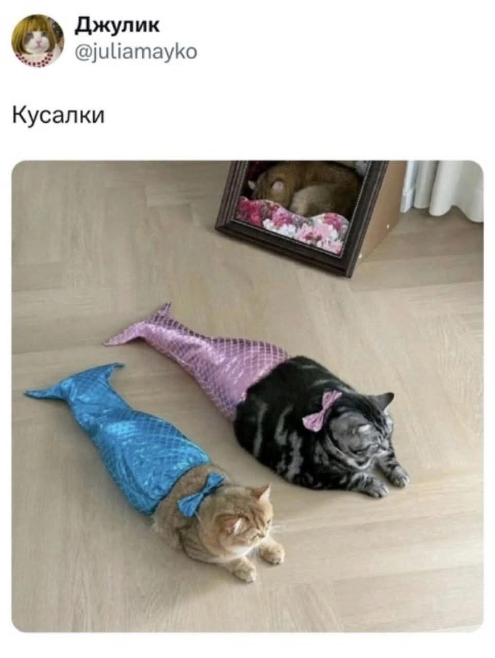 Джулик @juliamayko Кусалки