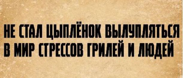 НЕ СТАЛ ЦЫПЛЁНОК ВЫЛУПЛЯТЬСЯ В МИР СТРЕССОВ ГРИЛЕЙ И ЛЮДЕЙ
