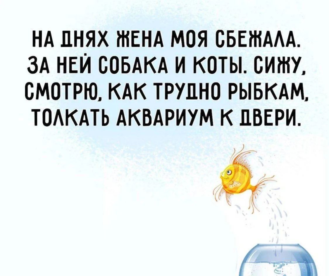 НА ДНЯХ ЖЕНА МОЯ СБЕЖАЛА. ЗА НЕЙ СОБАКА И КОТЫ. СИЖУ, СМОТРЮ, КАК ТРУДНО РЫБКАМ, ТОЛКАТЬ АКВАРИУМ К ДВЕРИ.
