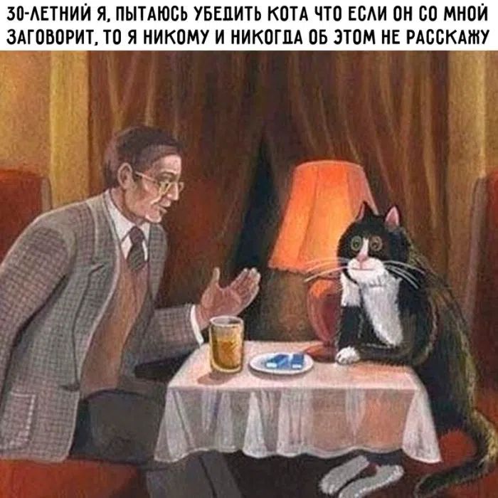 30-ЛЕТНИЙ Я, ПЫТАЮСЬ УБЕДИТЬ КОТА ЧТО ЕСЛИ ОН СО МНОЙ ЗАГОВОРИТ, ТО Я НИКОМУ И НИКОГДА ОБ ЭТОМ НЕ РАССКАЖУ