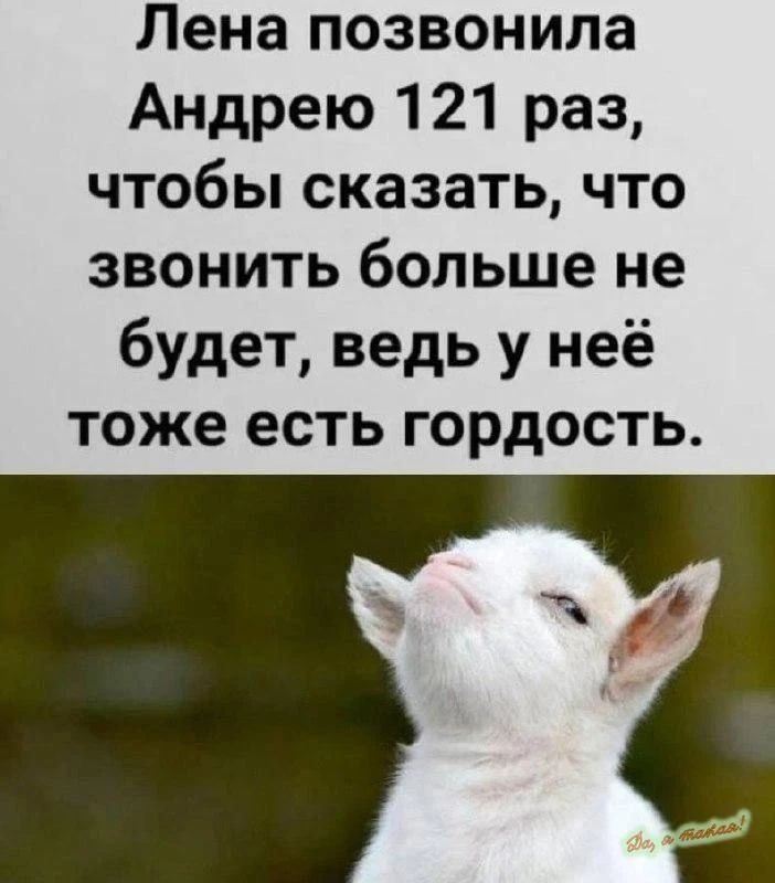 Лена позвонила Андрею 121 раз, чтобы сказать, что звонить больше не будет, ведь у неё тоже есть гордость.