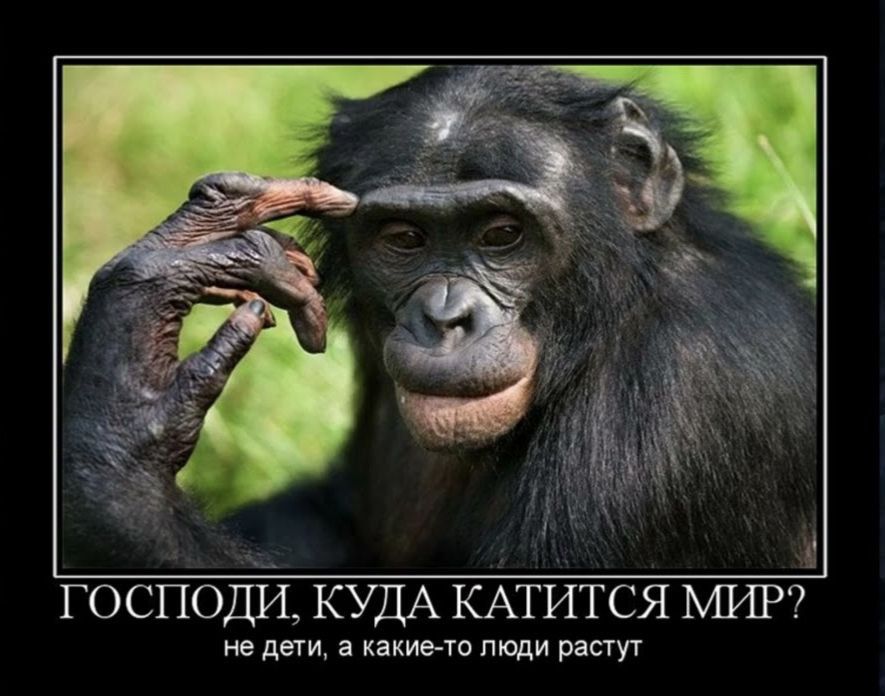 ГОСПОДИ, КУДА КАТИТСЯ МИР? не дети, а какие-то люди растут