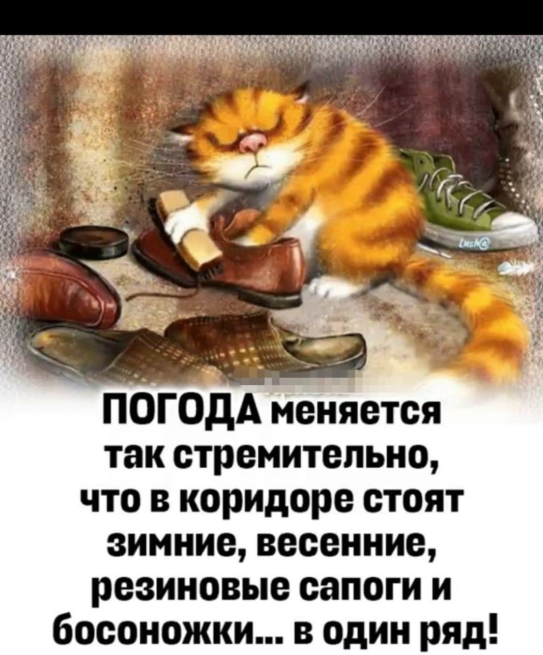 ПОГОДА меняется так стремительно, что в коридоре стоят зимние, весенние, резиновые сапоги и босоножки... в один ряд!