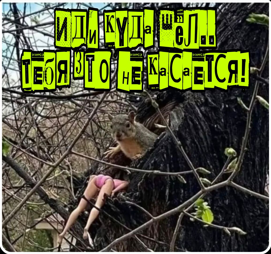 ИДИ КУДА ШЁЛ... ТЕБЯ ЭТО НЕ КАСАЕТСЯ!