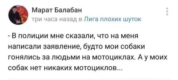 Марат Балабан три часа назад в Лига плохих шуток - В полиции мне сказали, что на меня написали заявление, будто мои собаки гонялись за людьми на мотоциклах. А у моих собак нет никаких мотоциклов...