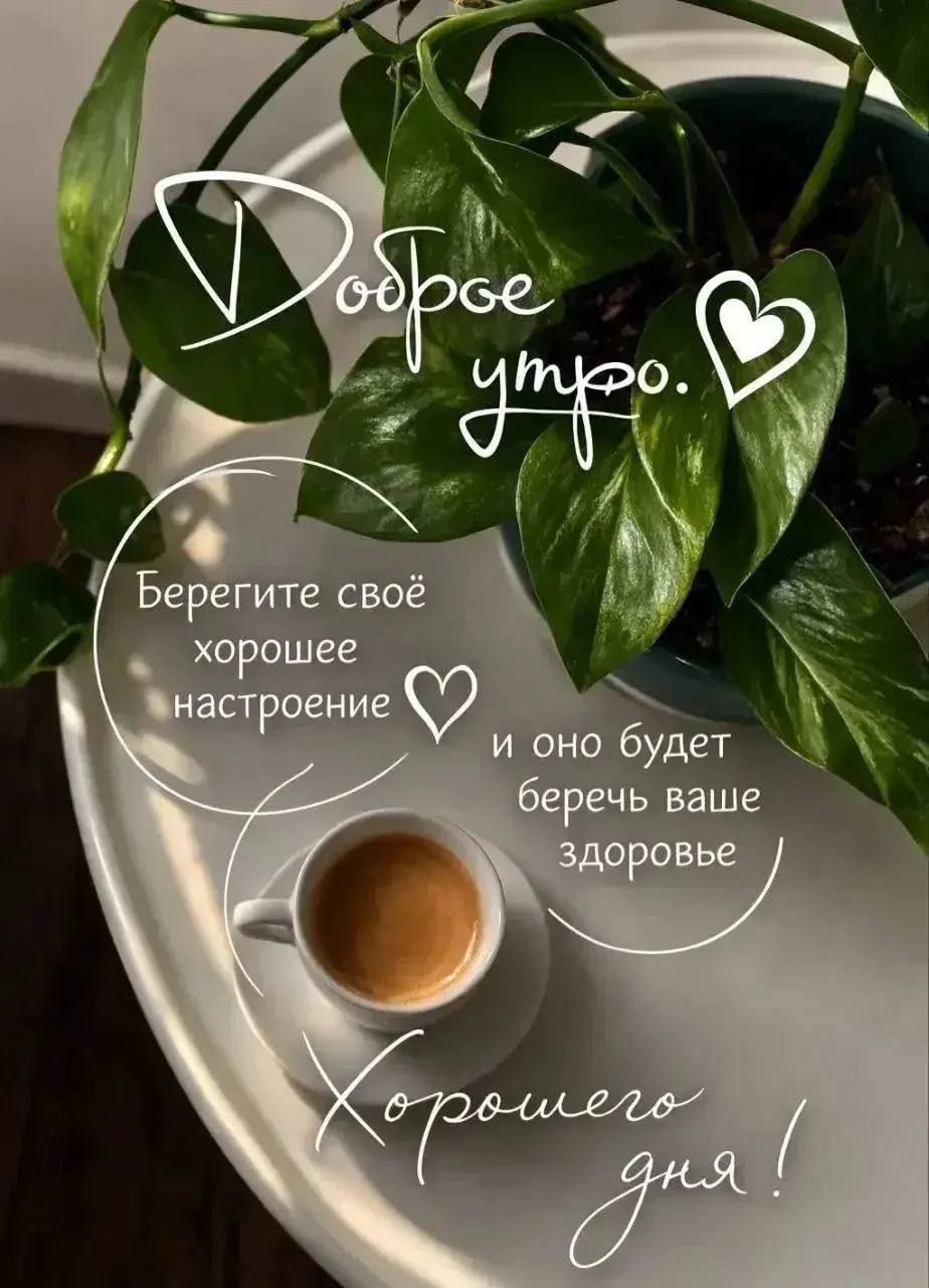 Доброе утро. Берегите своё хорошее настроение и оно будет беречь ваше здоровье. Хорошего дня!