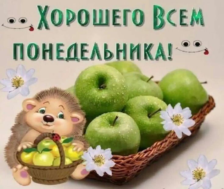 ХОРОШЕГО ВСЕМ ПОНЕДЕЛЬНИКА!