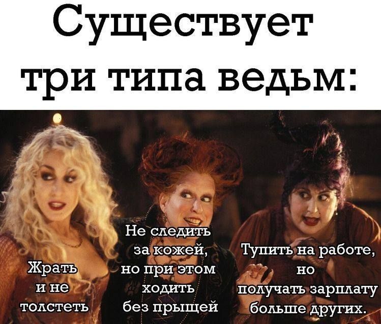 Существует три типа ведьм: Жрать и не толстеть. Не следить за кожей, но при этом ходить без прыщей. Тупить на работе, но получать зарплату больше других.