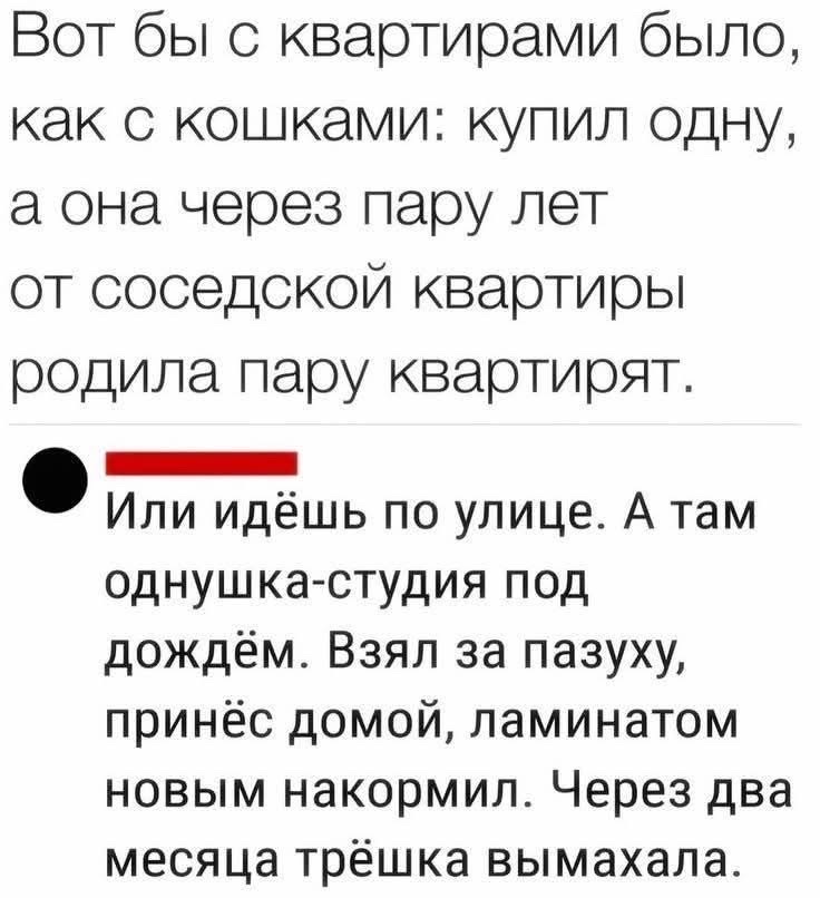 Вот бы с квартирами было, как с кошками: купил одну, а она через пару лет от соседской квартиры родила пару квартирят. Или идёшь по улице. А там однушка-студия под дождём. Взял за пазуху, принёс домой, ламинатом новым накормил. Через два месяца трёшка вымахала.