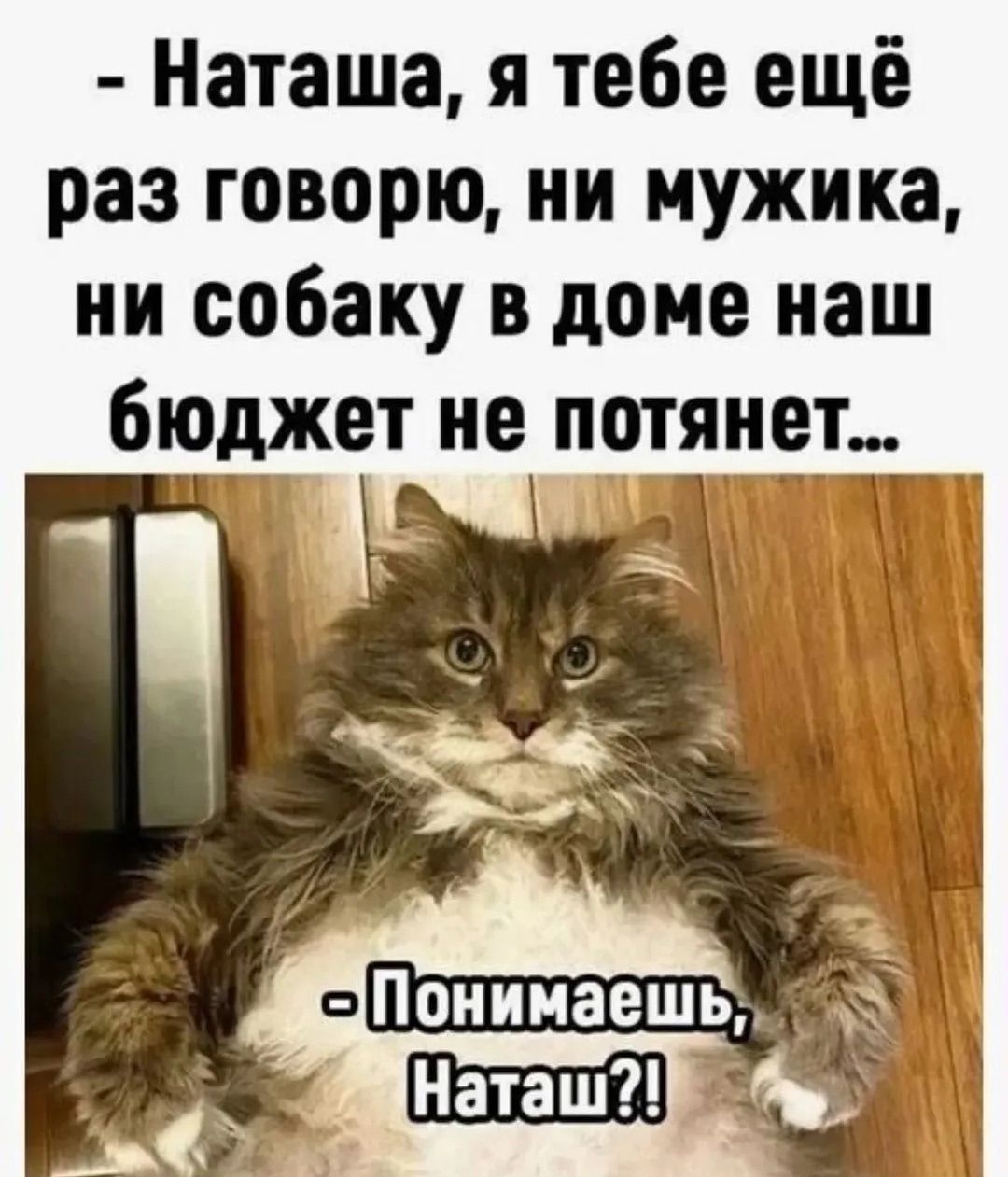 - Наташа, я тебе ещё раз говорю, ни мужика, ни собаку в доме наш бюджет не потянет... - Понимаешь, Наташ?!