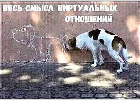 ВЕСЬ СМЫСЛ ВИРТУАЛЬНЫХ ОТНОШЕНИЙ. Собака нюхает нарисованную мелом собаку на стене.