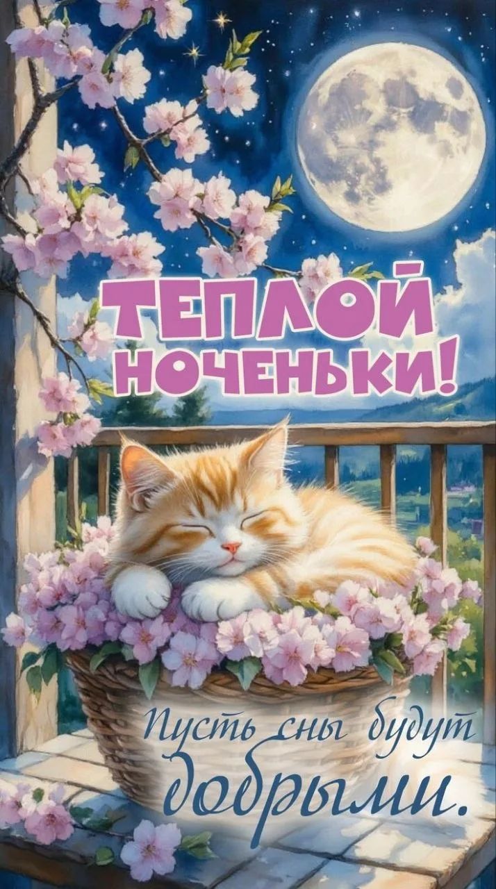 ТЕПЛОЙ НОЧЕНЬКИ! Пусть сны будут добрыми.