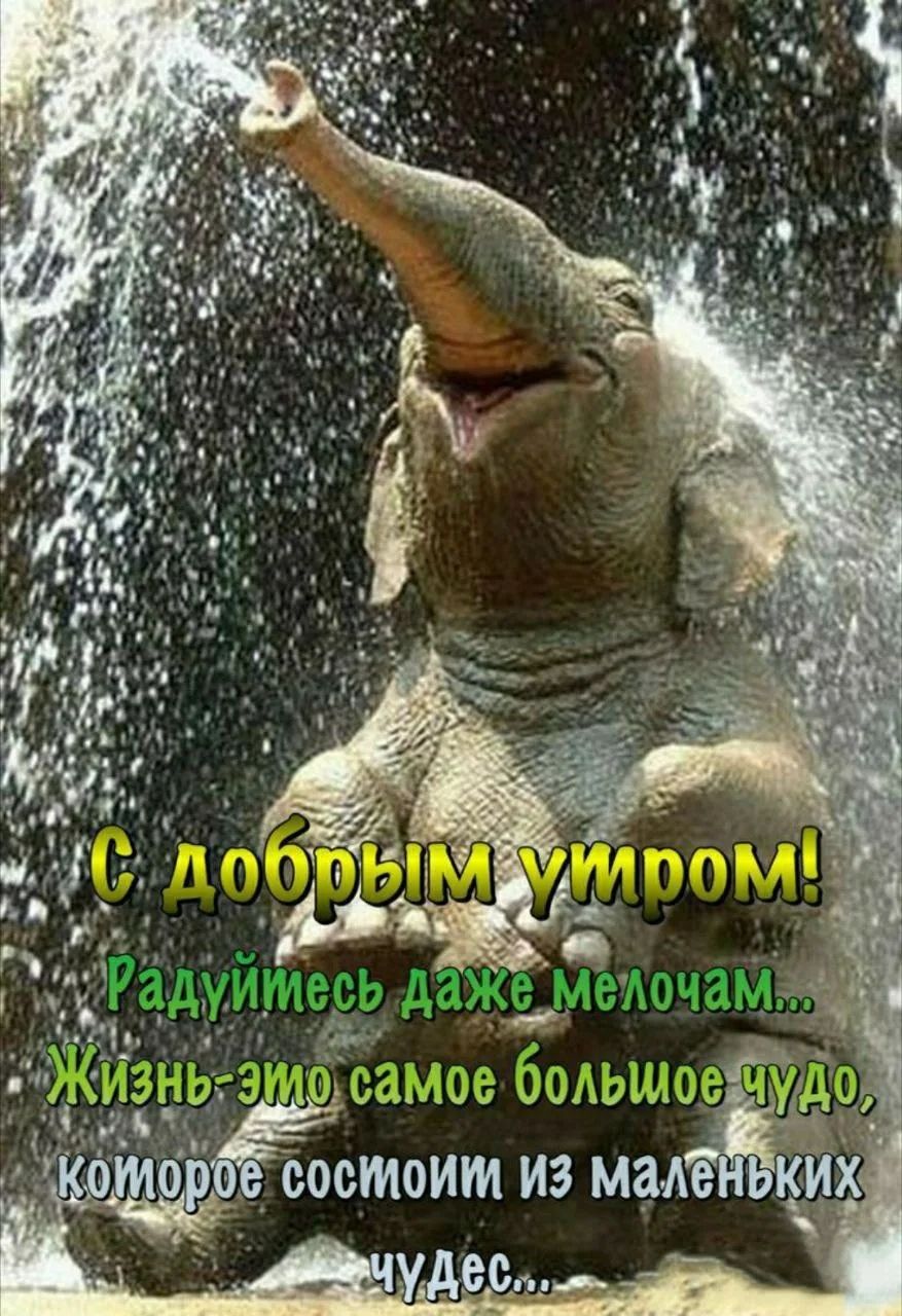 С добрым утром! Радуйтесь даже мелочам... Жизнь - это самое большое чудо, которое состоит из маленьких чудес...