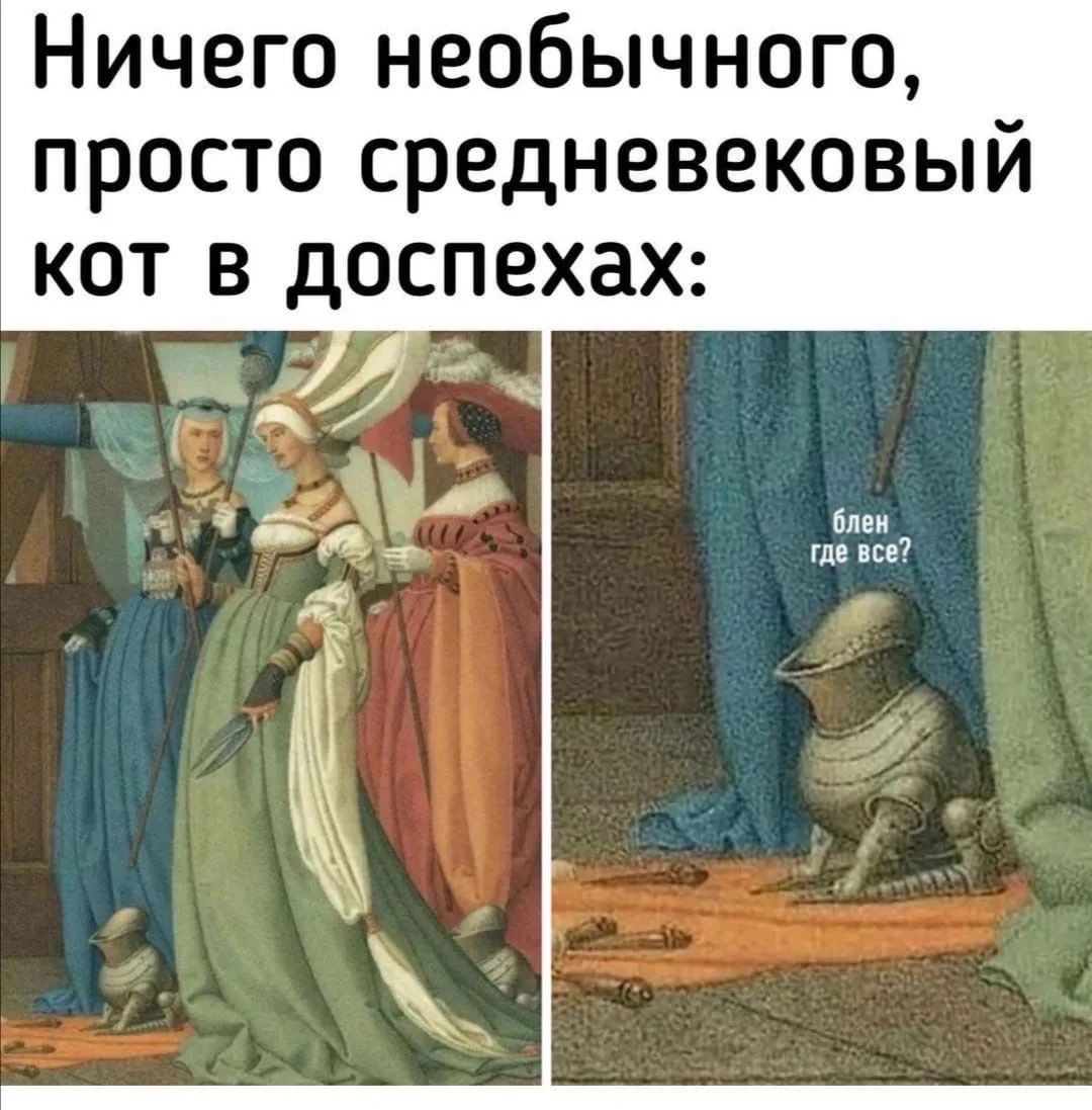Ничего необычного, просто средневековый кот в доспехах: блен где все?