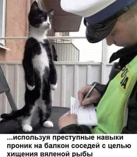 ...используя преступные навыки проник на балкон соседей с целью хищения вяленой рыбы
