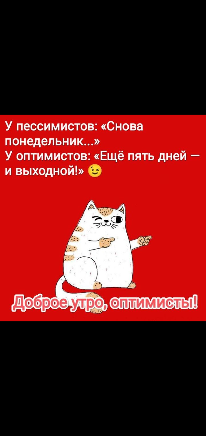 У пессимистов: «Снова понедельник...» У оптимистов: «Ещё пять дней — и выходной!» Доброе утро, оптимисты!