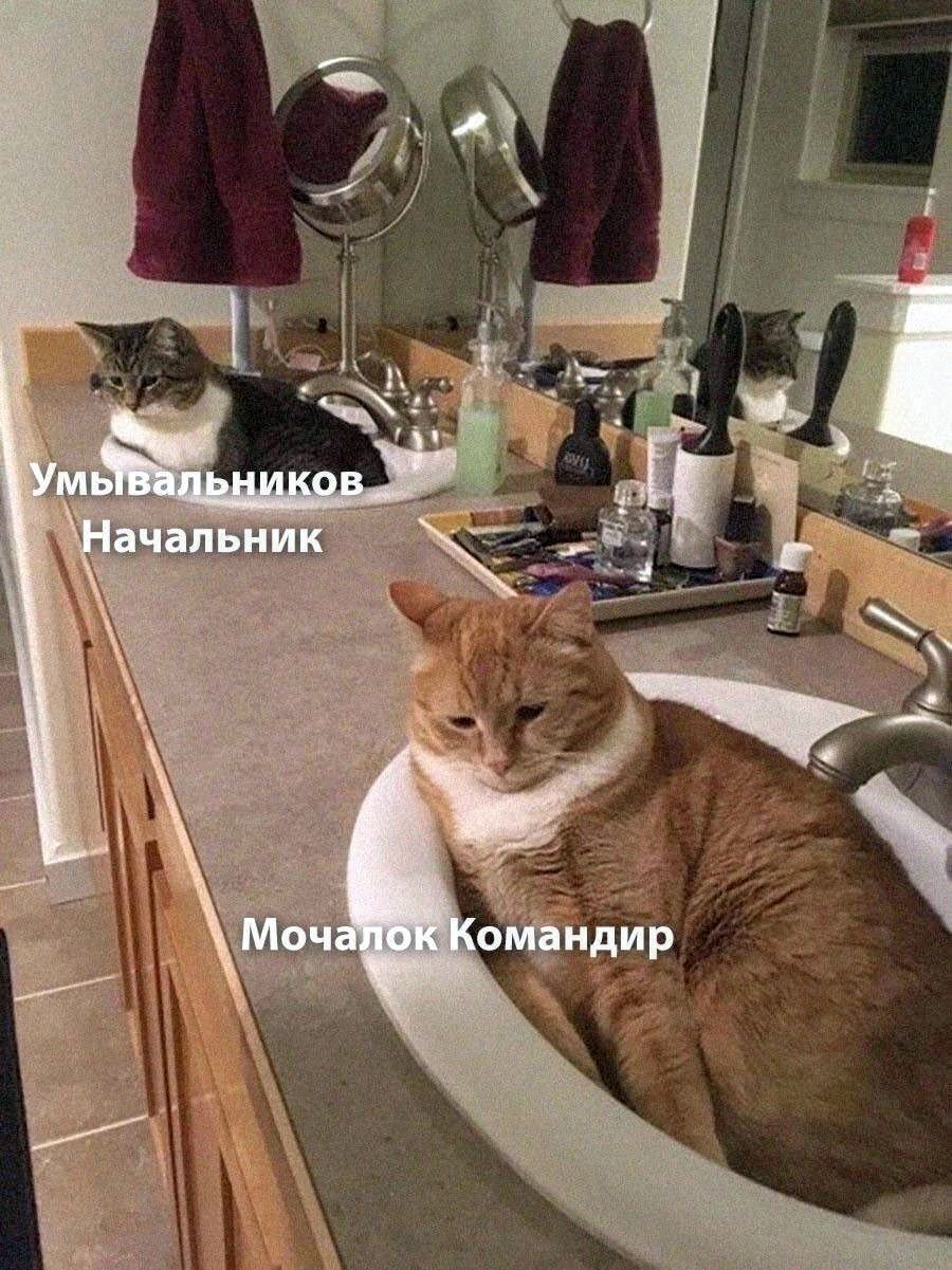 Умывальников Начальник Мочалок Командир