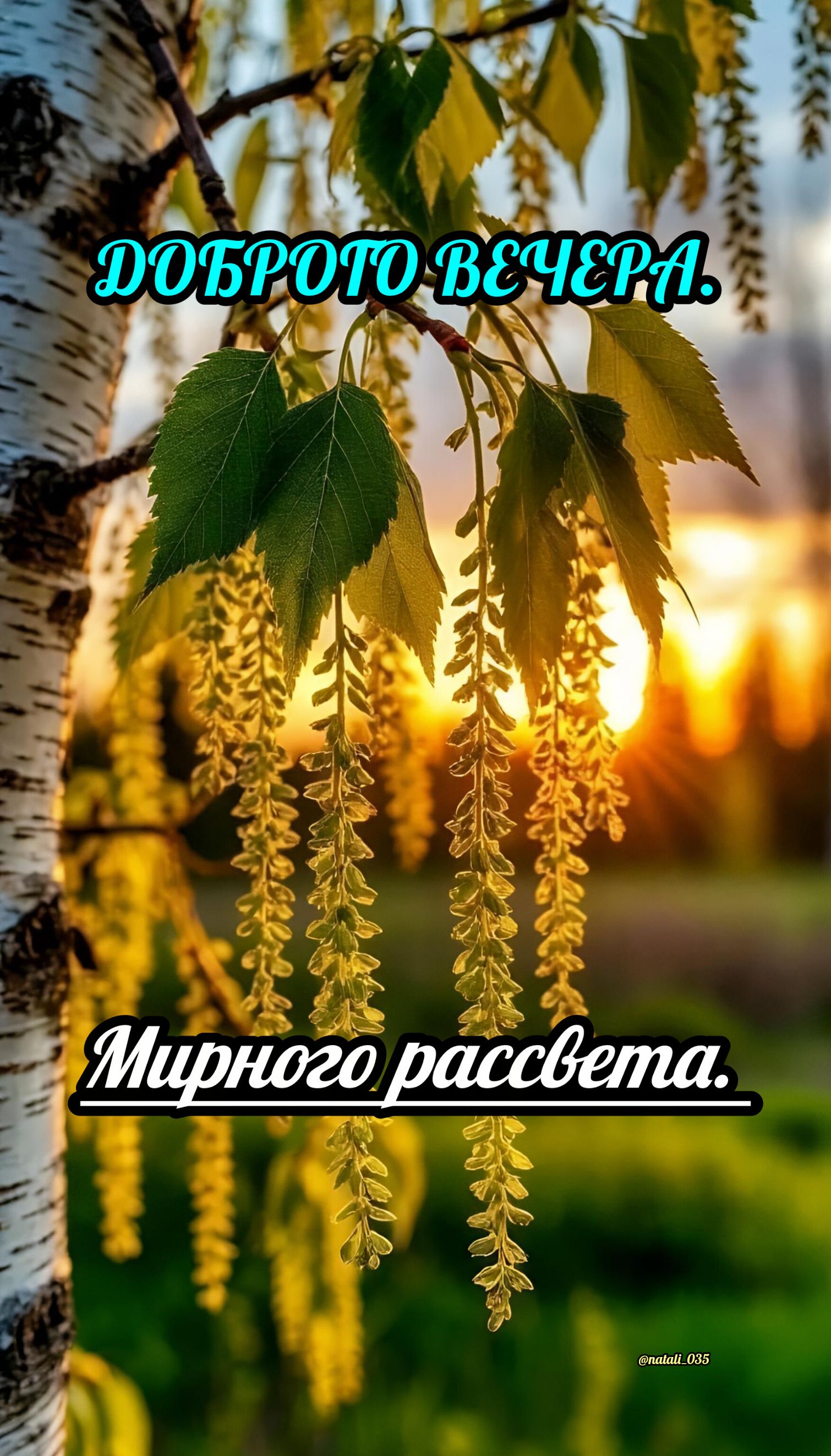 ДОБРОГО ВЕЧЕРА. Мирного рассвета.