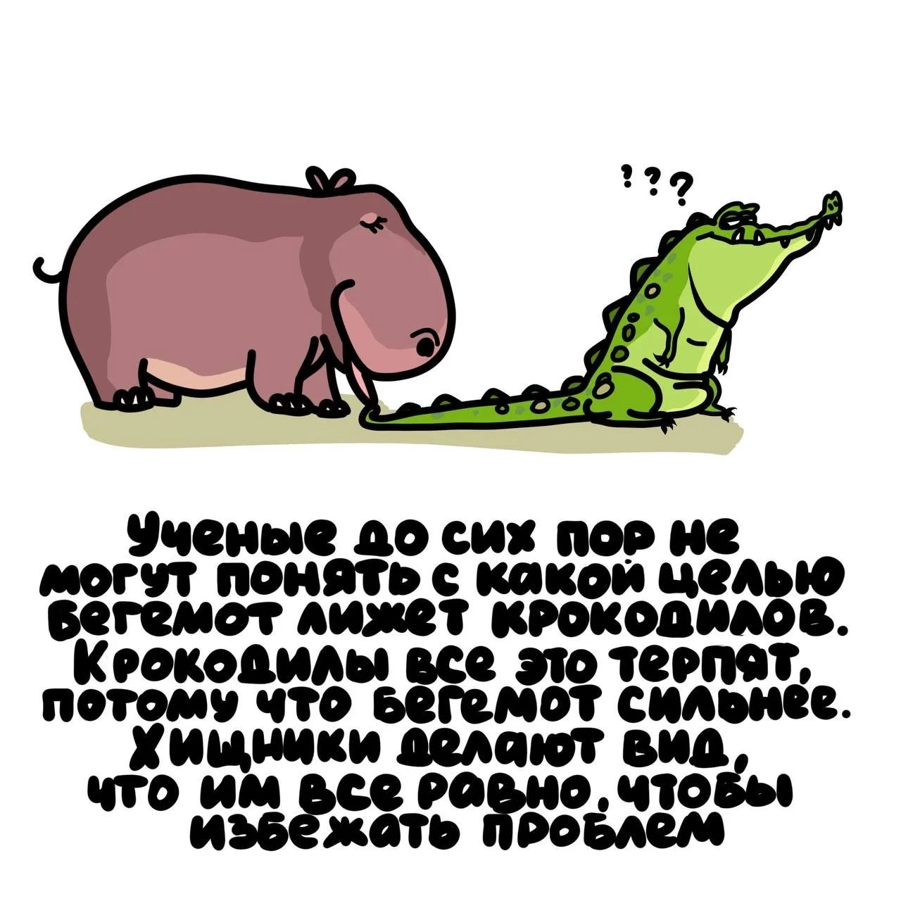 Ученые до сих пор не могут понять с какой целью бегемот лижет крокодилов. Крокодилы все это терпят, потому что бегемот сильнее. Хищники делают вид, что им все равно, чтобы избежать проблем.