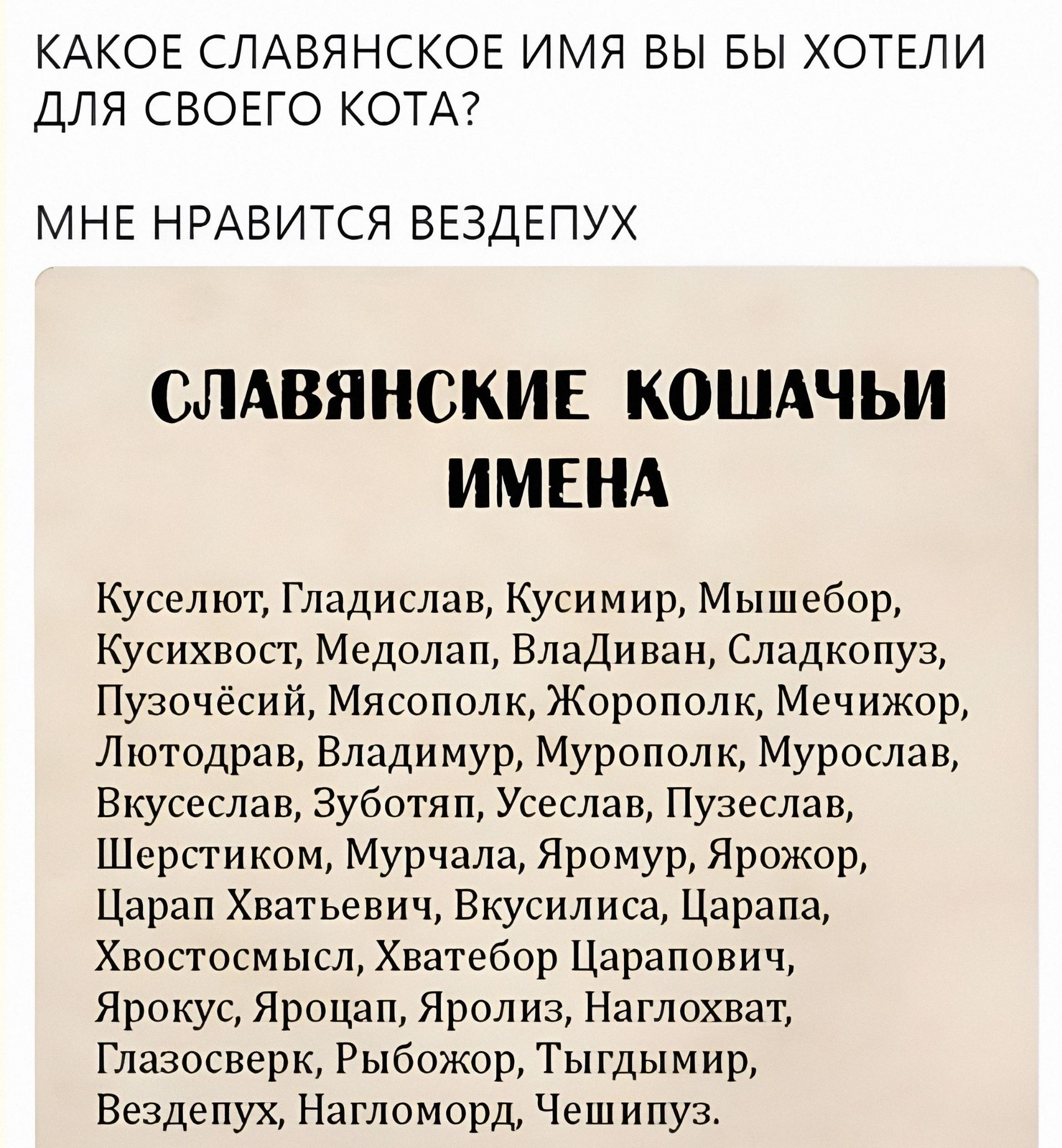 КАКОЕ СЛАВЯНСКОЕ ИМЯ ВЫ БЫ ХОТЕЛИ ДЛЯ СВОЕГО КОТА?
МНЕ НРАВИТСЯ ВЕЗДЕПУХ
СЛАВЯНСКИЕ КОШАЧЬИ ИМЕНА
Куселют, Гладислав, Кусимир, Мышебор, Кусихвост, Медолап, Владиван, Сладкопуз, Пузочёсый, Мясополк, Жорополк, Мечижор, Лютодрав, Владимир, Мурополк, Мурослав, Вкусеслав, Зуботяп, Усеслав, Пузеслав, Шерстиком, Мурчала, Яромур, Ярожор, Царап Хватьевич,