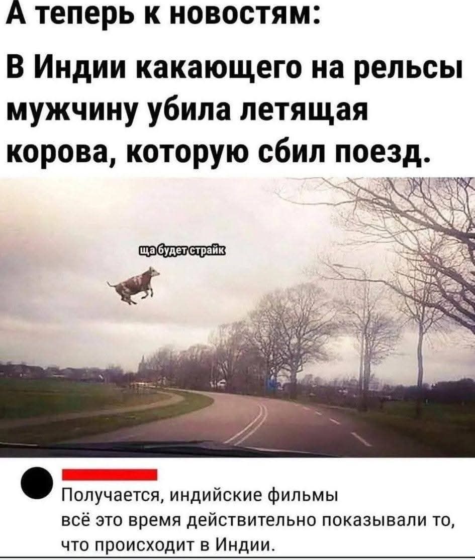 А теперь к новостям: В Индии какающего на рельсы мужчину убила летящая корова, которую сбил поезд. ща будет страйк. Получается, индийские фильмы всё это время действительно показывали то, что происходит в Индии.