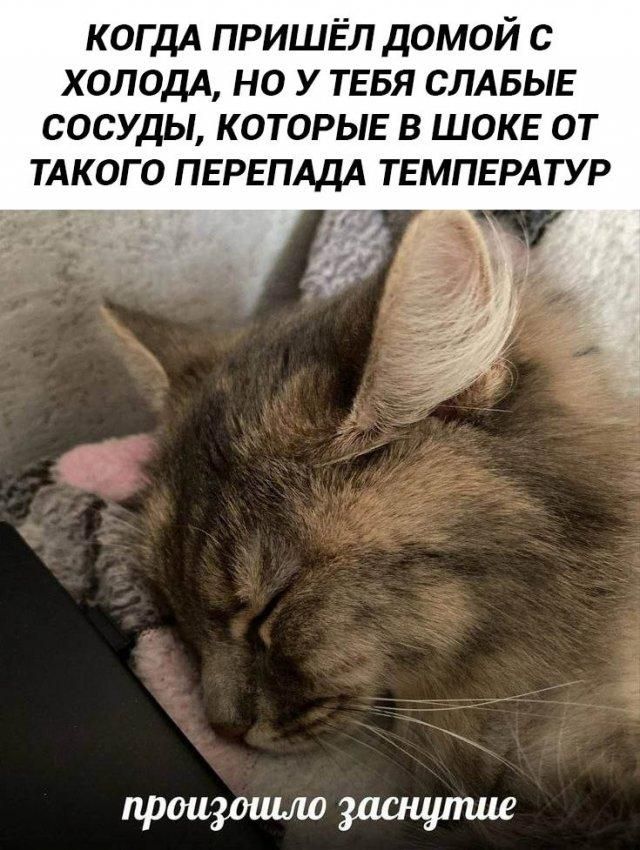 КОГДА ПРИШЁЛ ДОМОЙ С ХОЛОДА, НО У ТЕБЯ СЛАБЫЕ СОСУДЫ, КОТОРЫЕ В ШОКЕ ОТ ТАКОГО ПЕРЕПАДА ТЕМПЕРАТУР. произошло заснутие