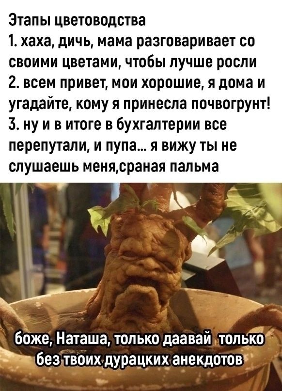 Этапы цветоводства 1. хаха, дичь, мама разговаривает со своими цветами, чтобы лучше росли 2. всем привет, мои хорошие, я дома и угадайте, кому я принесла почвогрунт! 3. ну и в итоге в бухгалтерии все перепутали, и пупа... я вижу ты не слушаешь меня, сраная пальма боже, Наташа, только даавай только без твоих дурацких анекдотов