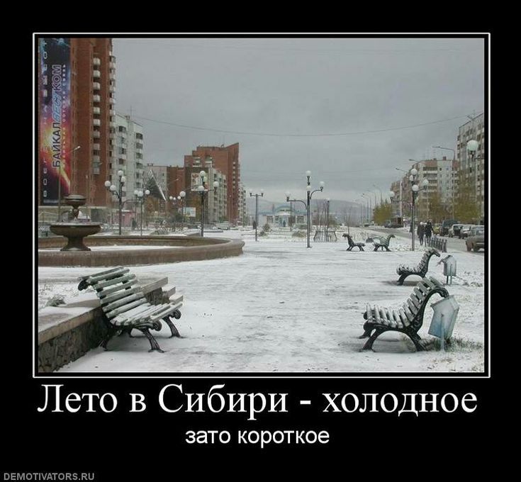 Лето в Сибири - холодное зато короткое