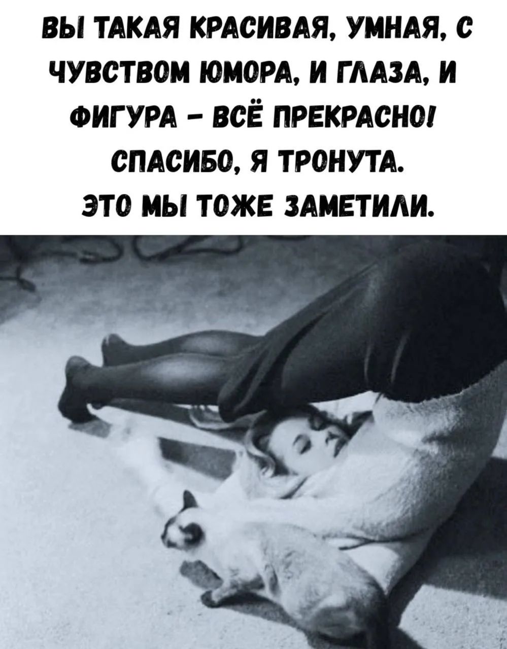 ВЫ ТАКАЯ КРАСИВАЯ, УМНАЯ, С ЧУВСТВОМ ЮМОРА, И ГЛАЗА, И ФИГУРА – ВСЁ ПРЕКРАСНО! СПАСИБО, Я ТРОНУТА. ЭТО МЫ ТОЖЕ ЗАМЕТИЛИ.