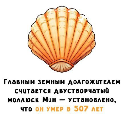 Главным земным долгожителем считается двустворчатый моллюск Мин — установлено, что он умер в 507 лет