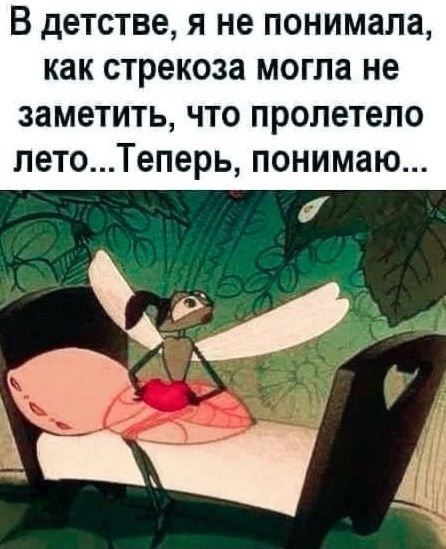 В детстве, я не понимала, как стрекоза могла не заметить, что пролетело лето...Теперь, понимаю...