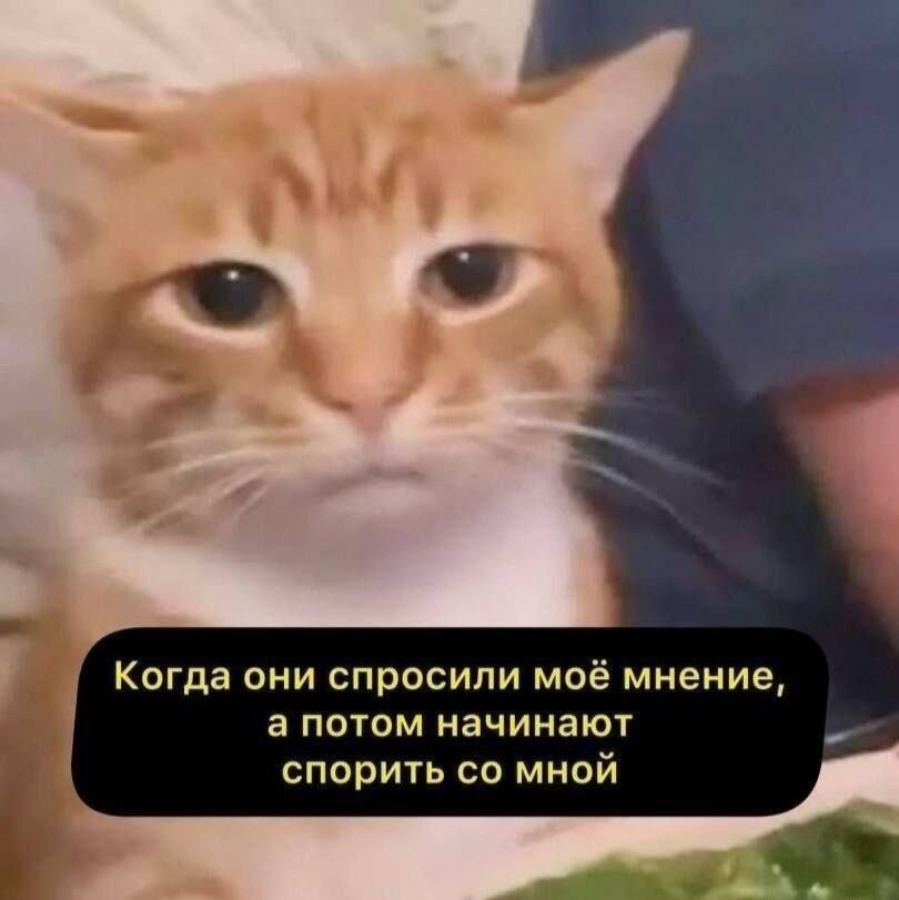 Когда они спросили моё мнение, а потом начинают спорить со мной