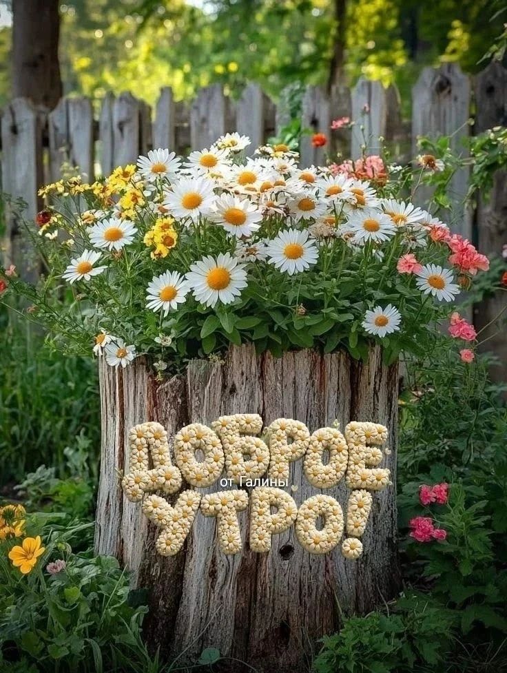 ДОБРОЕ УТРО! от Галины
