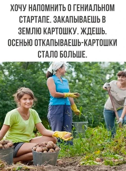 ХОЧУ НАПОМНИТЬ О ГЕНИАЛЬНОМ СТАРТАПЕ. ЗАКАПЫВАЕШЬ В ЗЕМЛЮ КАРТОШКУ. ЖДЕШЬ. ОСЕНЬЮ ОТКАПЫВАЕШЬ - КАРТОШКИ СТАЛО БОЛЬШЕ.