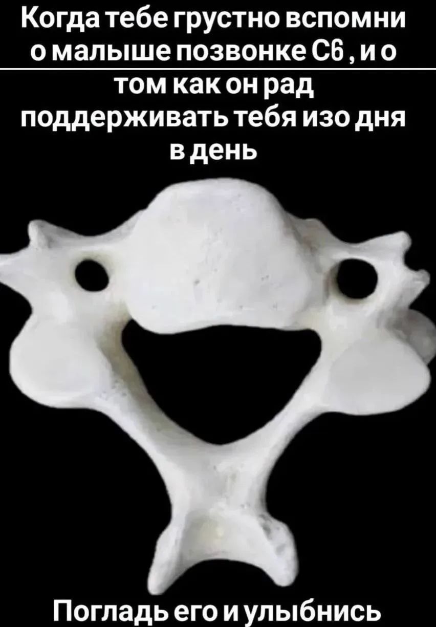 Когда тебе грустно вспомни о малыше позвонке С6, и о том как он рад поддерживать тебя изо дня в день Погладь его и улыбнись