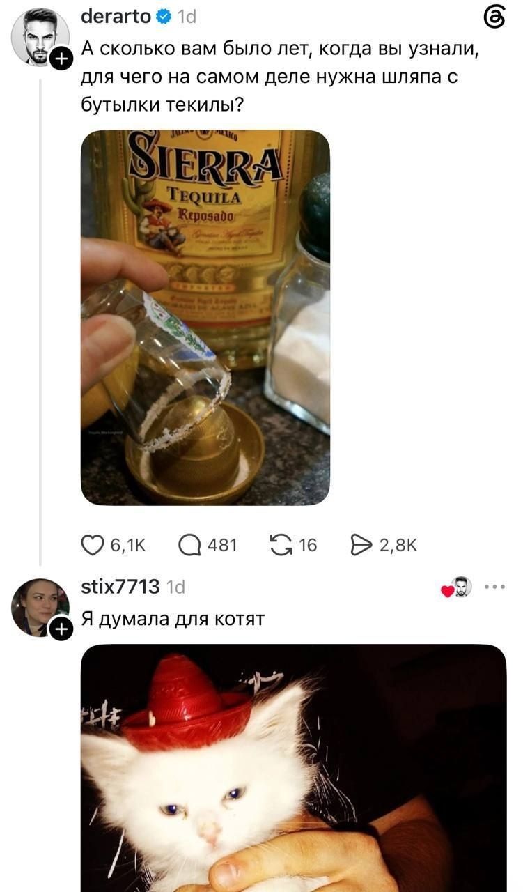 А сколько вам было лет, когда вы узнали, для чего на самом деле нужна шляпа с бутылки текилы? Я думала для котят