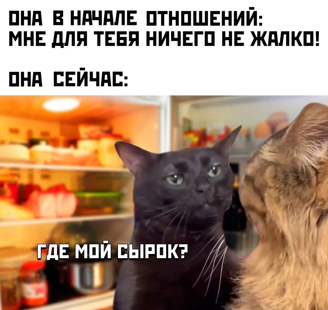 ОНА В НАЧАЛЕ ОТНОШЕНИЙ: МНЕ ДЛЯ ТЕБЯ НИЧЕГО НЕ ЖАЛКО! ОНА СЕЙЧАС: ГДЕ МОЙ СЫРОК?