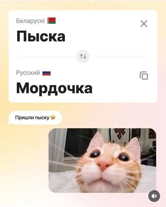 Беларускі Пыска Русский Мордочка Пришли пыску