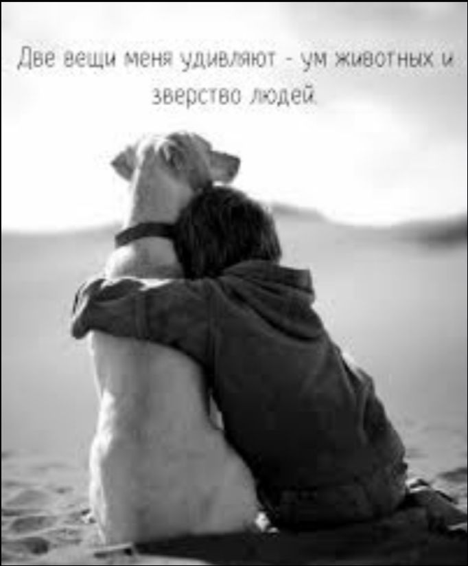 Две вещи меня удивляют - ум животных и зверство людей