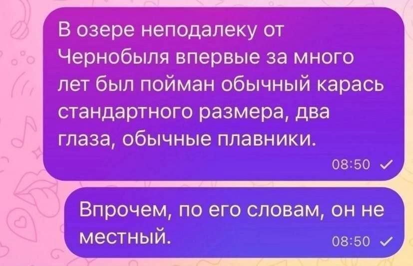 В озере неподалеку от Чернобыля впервые за много лет был пойман обычный карась стандартного размера, два глаза, обычные плавники. Впрочем, по его словам, он не местный.