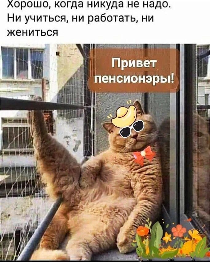 Хорошо, когда никуда не надо. Ни учиться, ни работать, ни жениться. Привет пенсионеры!