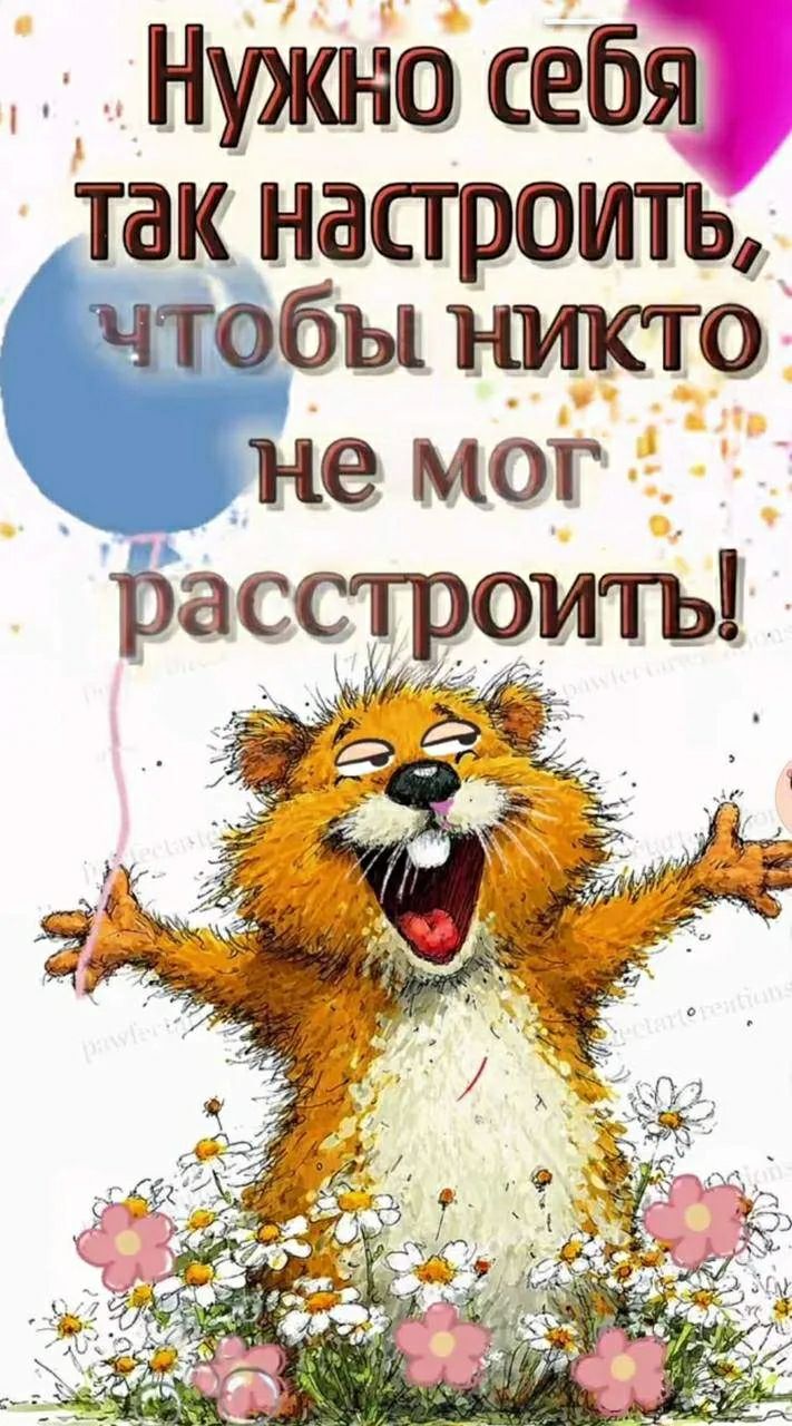 Нужно себя так настроить, чтобы никто не мог расстроить!