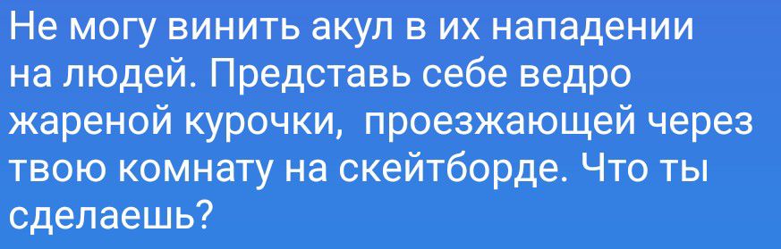 Не могу винить акул в их нападении на людей. Представь себе ведро жареной курочки, проезжающей через твою комнату на скейтборде. Что ты сделаешь?