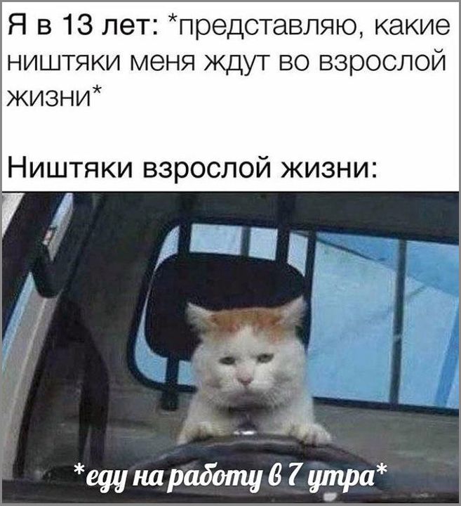 Я в 13 лет: *представляю, какие ништяки меня ждут во взрослой жизни* Ништяки взрослой жизни: *еду на работу в 7 утра*