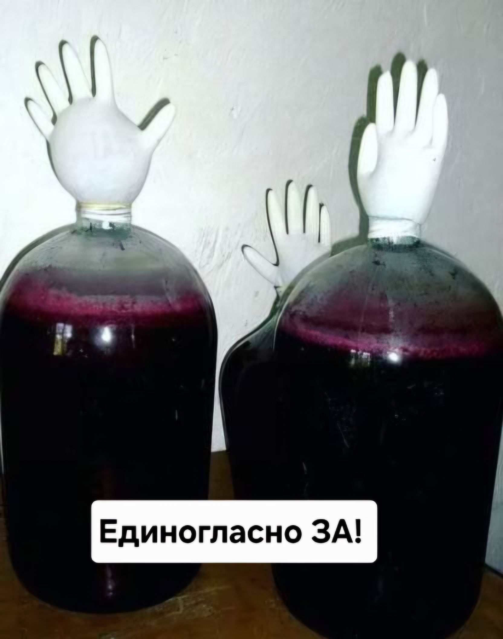 Единогласно ЗА!