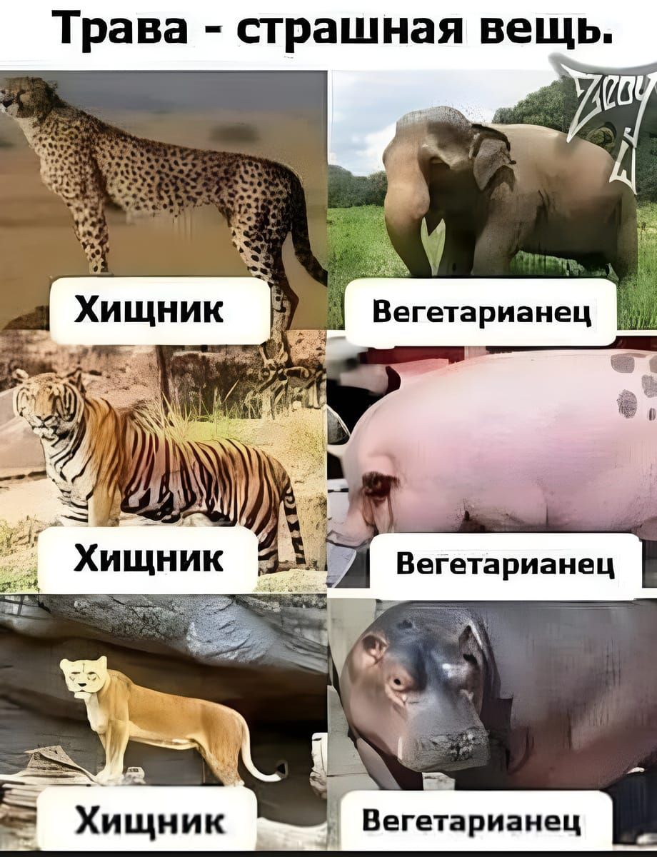 Трава - страшная вещь. Хищник, Вегетарианец