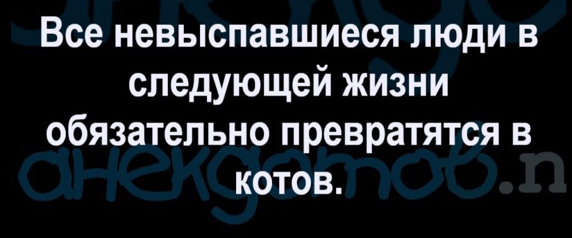 Все невыспавшиеся люди в следующей жизни обязательно превратятся в котов.
