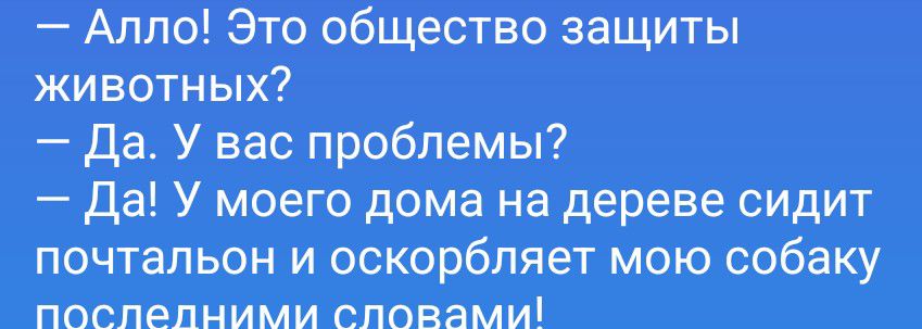 — Алло! Это общество защиты животных? — Да. У вас проблемы? — Да! У моего дома на дереве сидит почтальон и оскорбляет мою собаку последними словами!