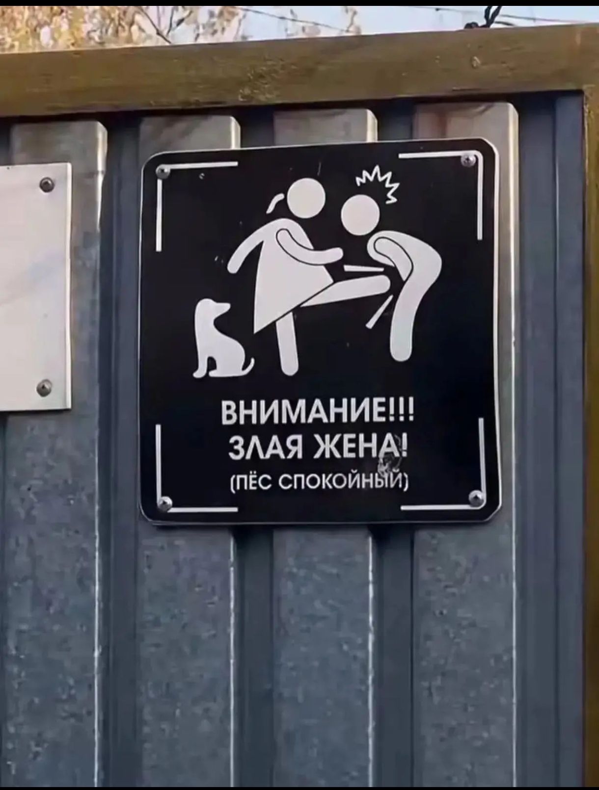 ВНИМАНИЕ!!! ЗЛАЯ ЖЕНА! (пёс спокойный)